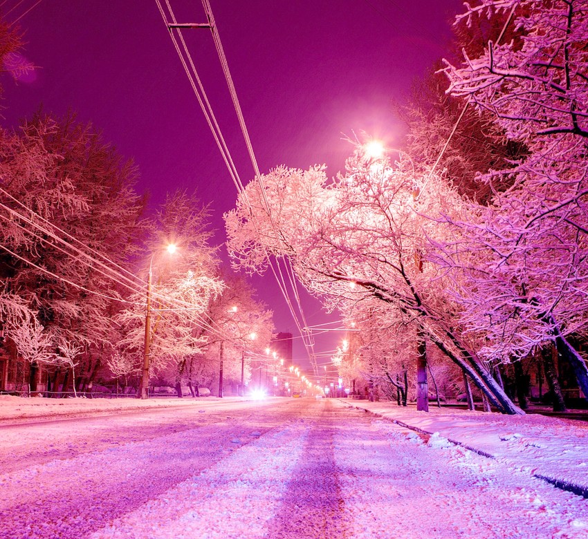 Blog Header Image